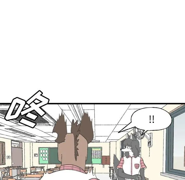 17 第63页
