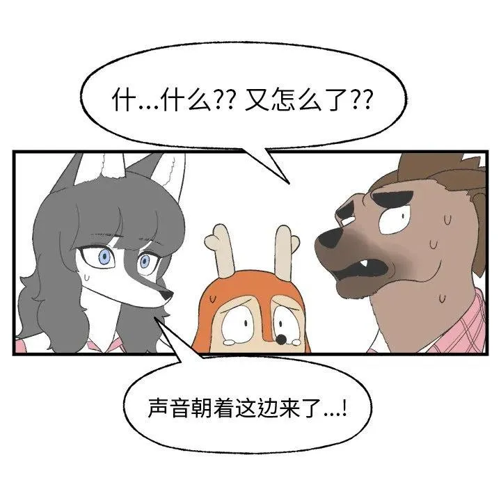 17 第65页