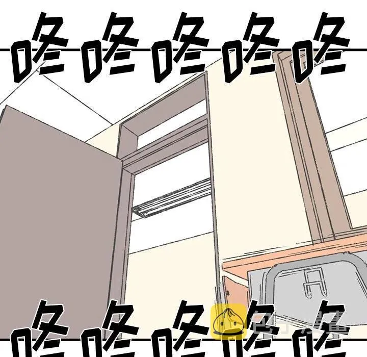17 第66页
