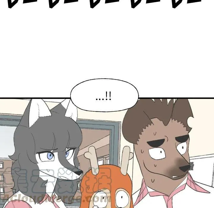 17 第67页