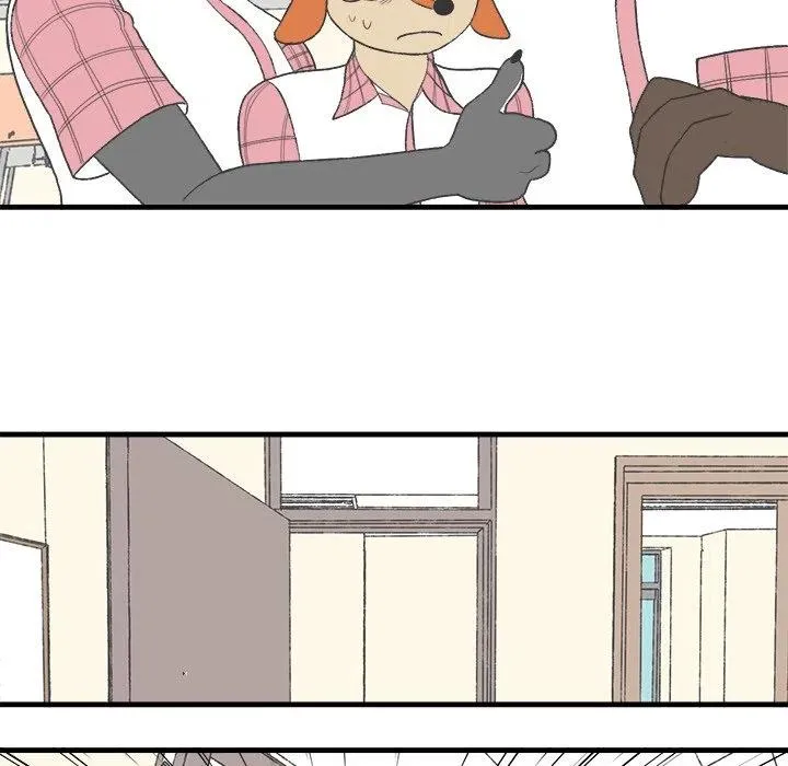 17 第68页