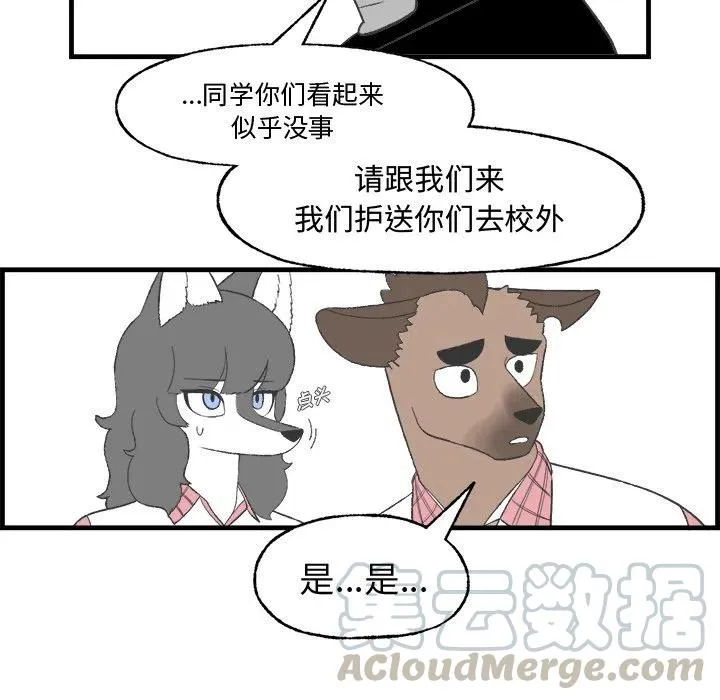 17 第73页