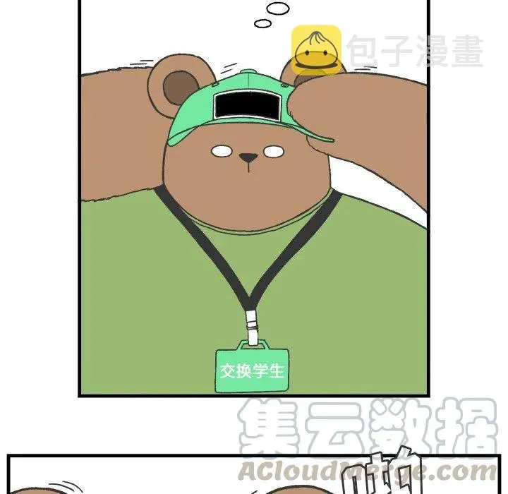 19 第13页