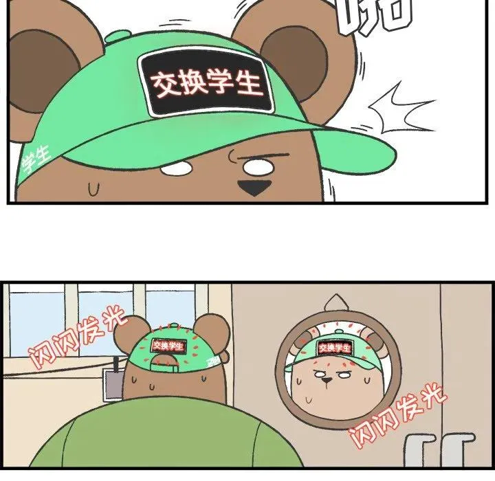 19 第14页