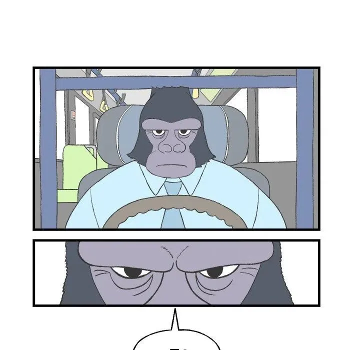 19 第24页