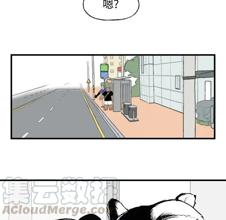 19 第25页
