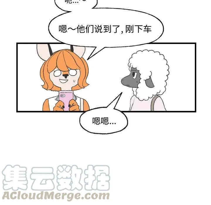 19 第37页