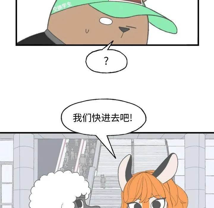 19 第48页