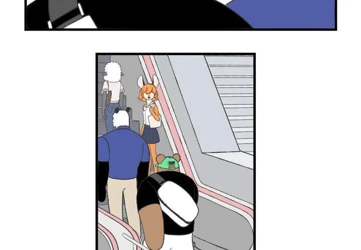 20 第3页