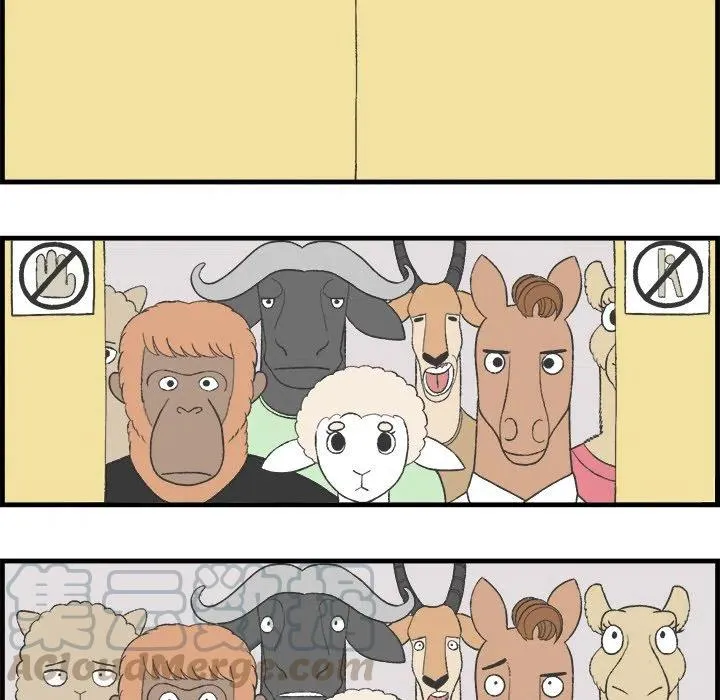 20 第10页