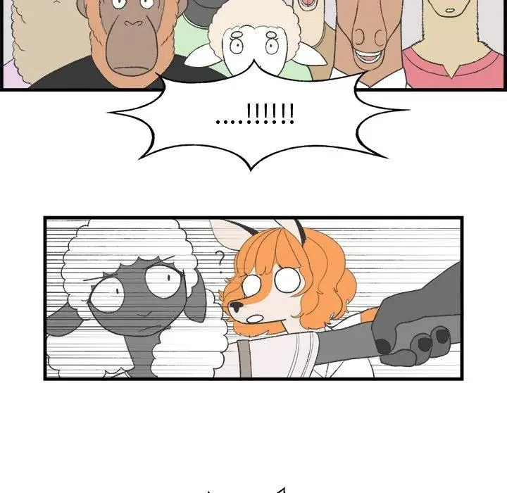 20 第11页