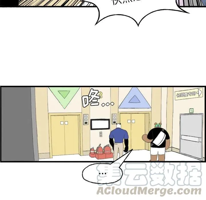 20 第13页