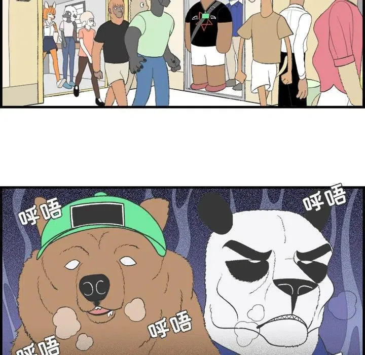 20 第20页