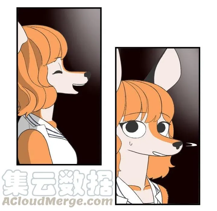 20 第43页