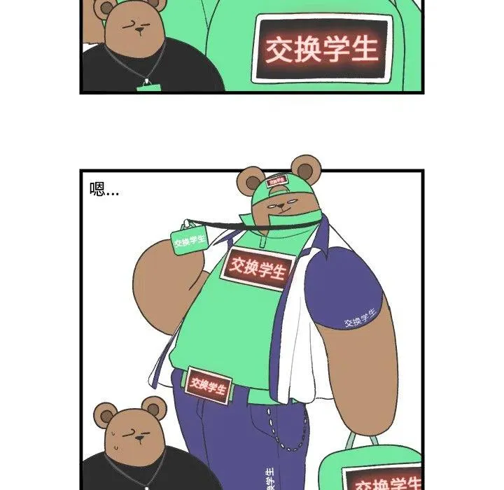 20 第50页
