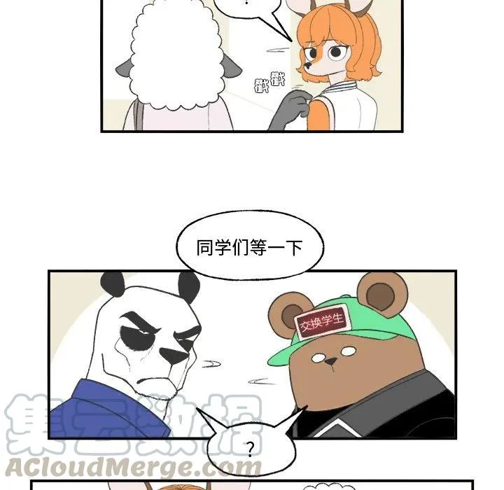 21 第13页