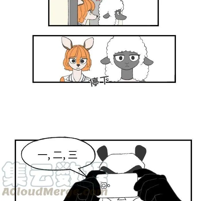 21 第25页
