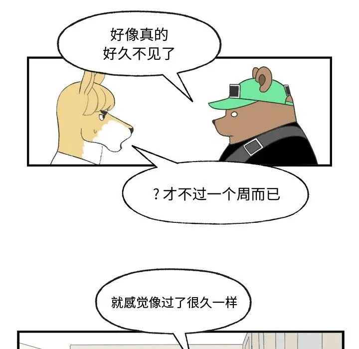 21 第32页