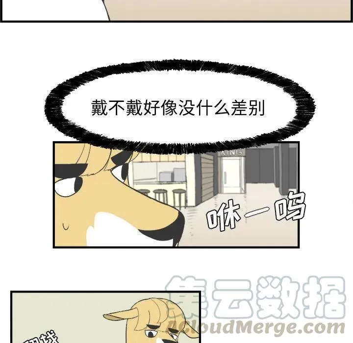 21 第37页