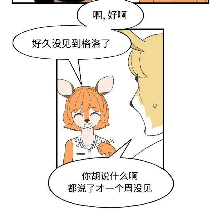 21 第41页