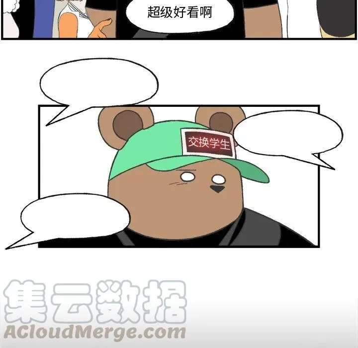 21 第43页
