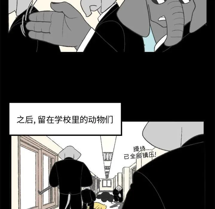 23 第11页