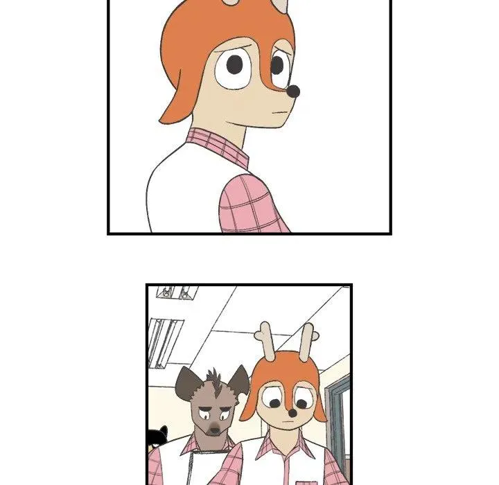 23 第41页