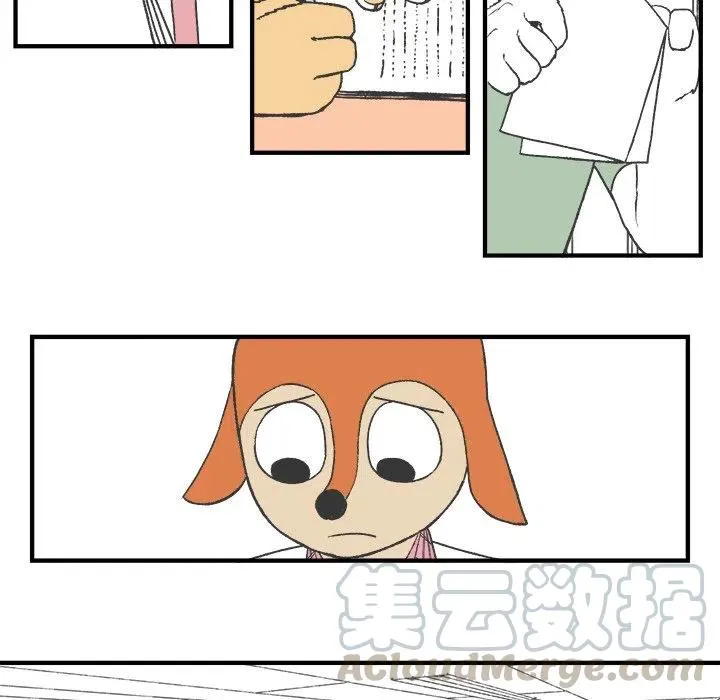23 第43页