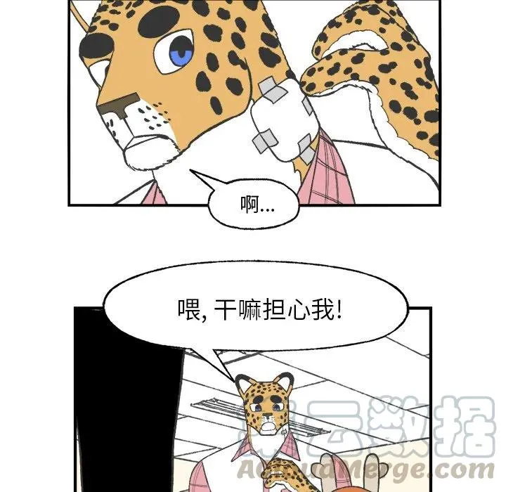 23 第52页