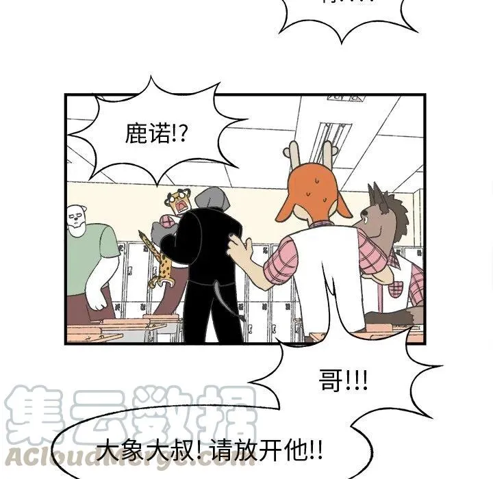 23 第55页