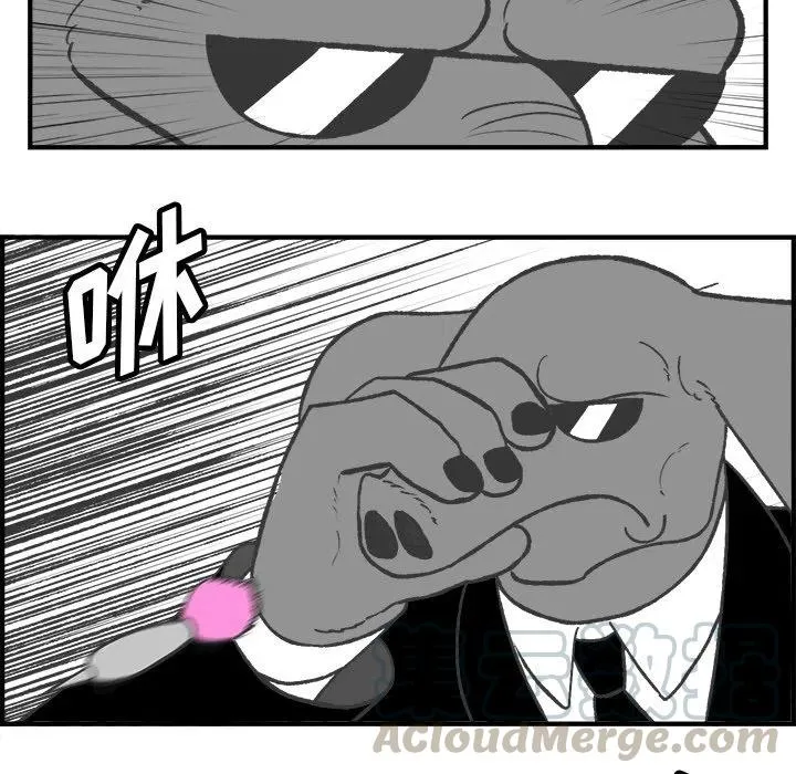 24 第13页