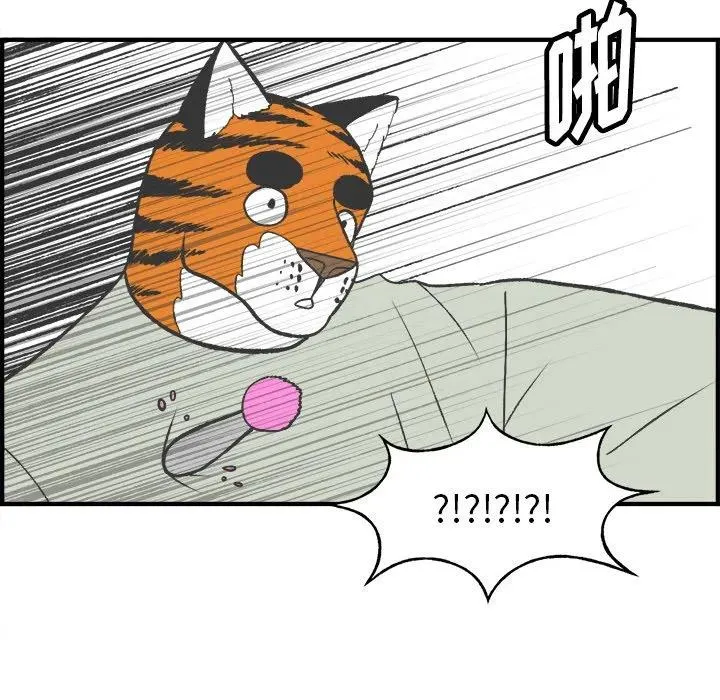 24 第14页