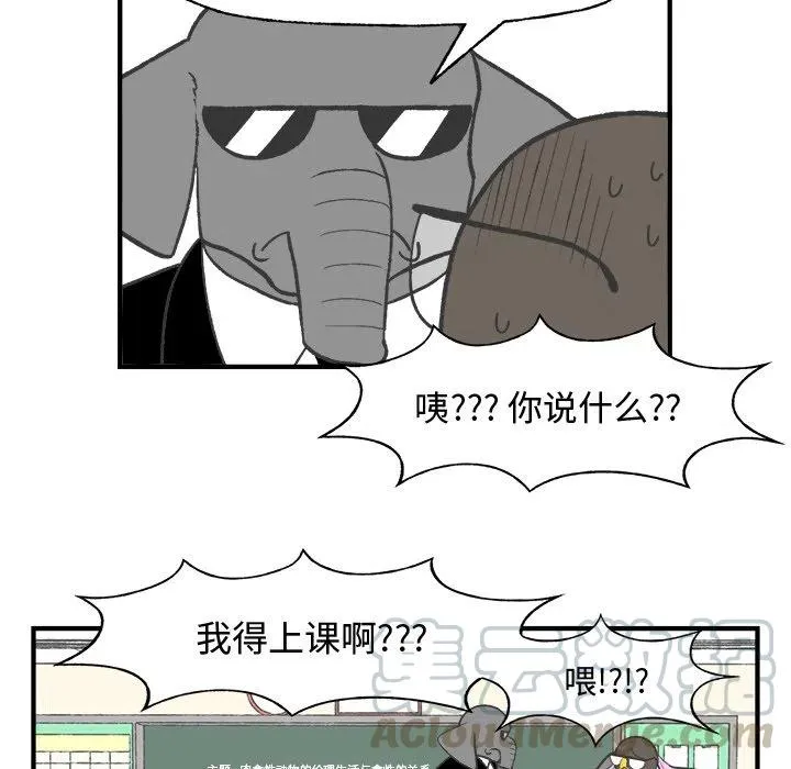 24 第19页