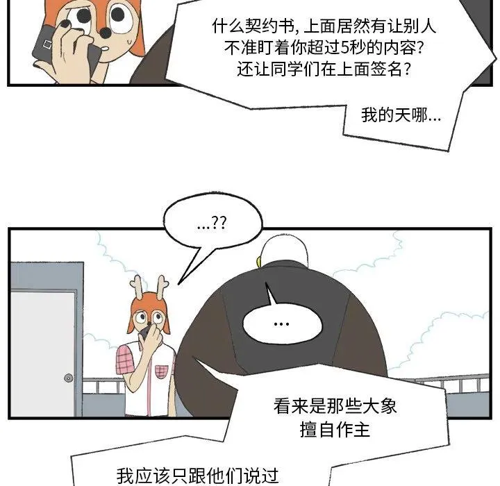 24 第51页