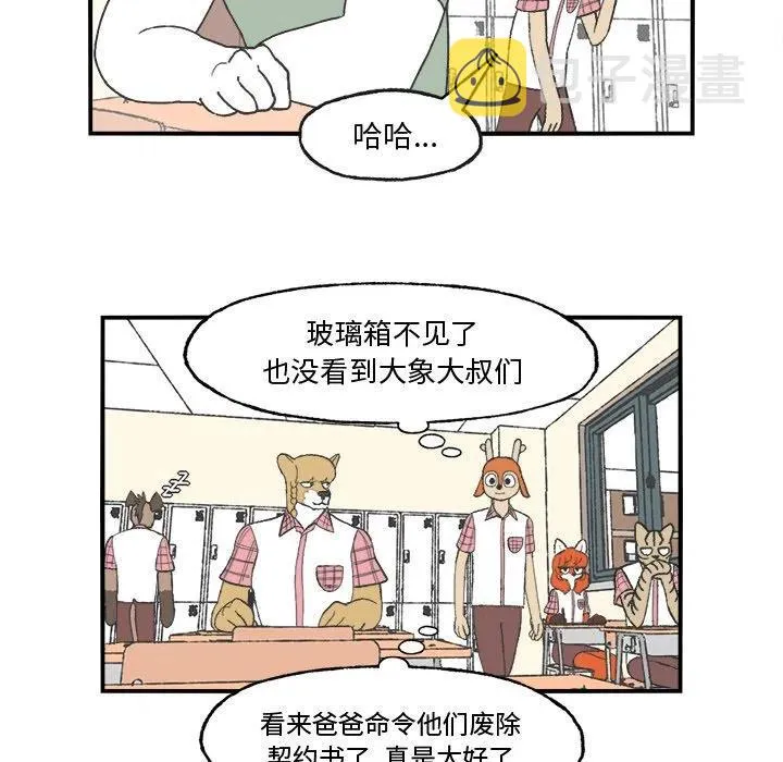 25 第5页