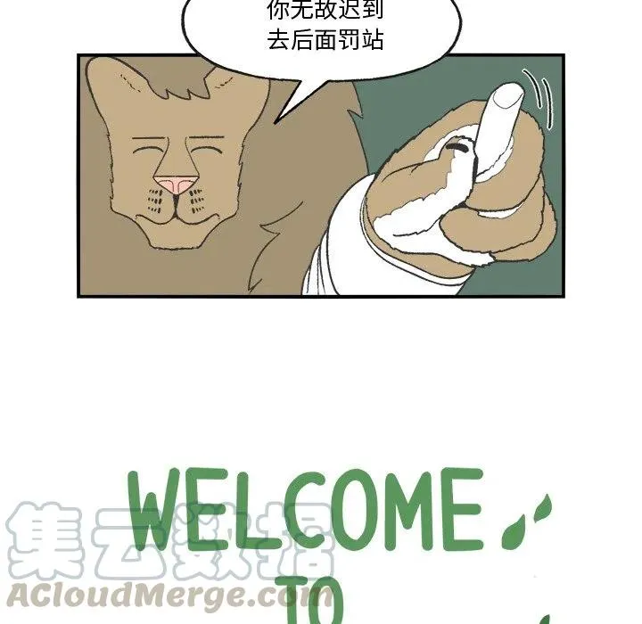 25 第7页