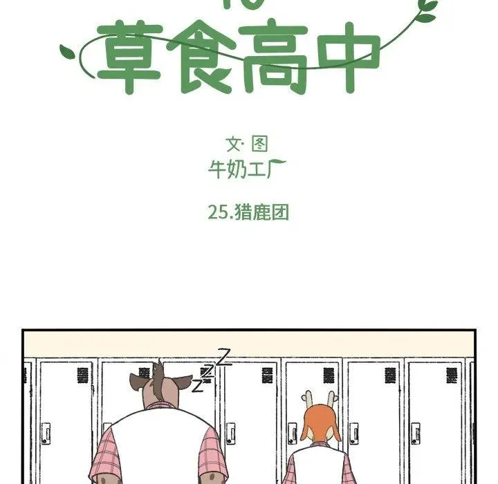 25 第8页