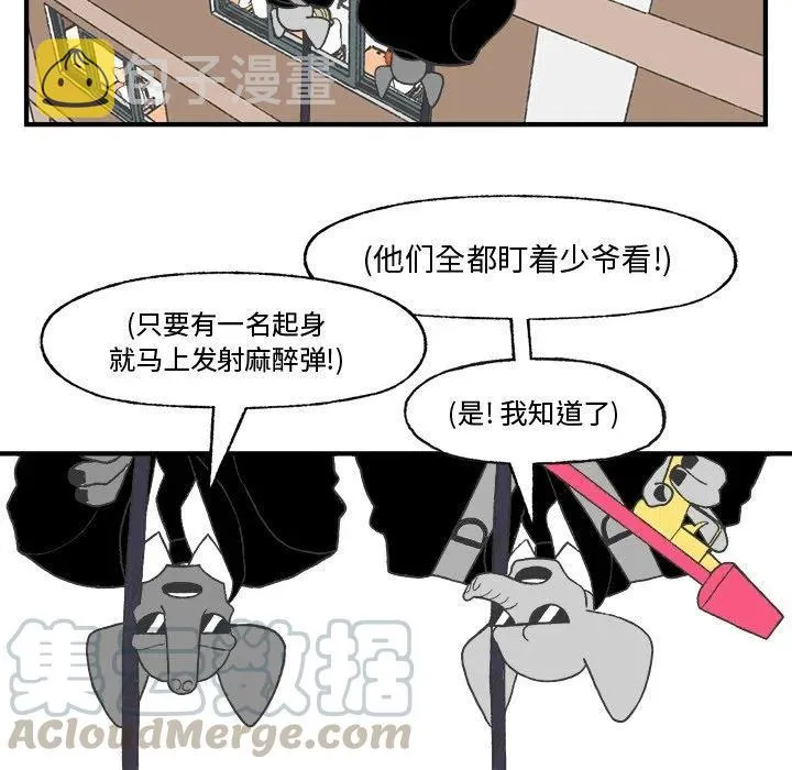 25 第13页