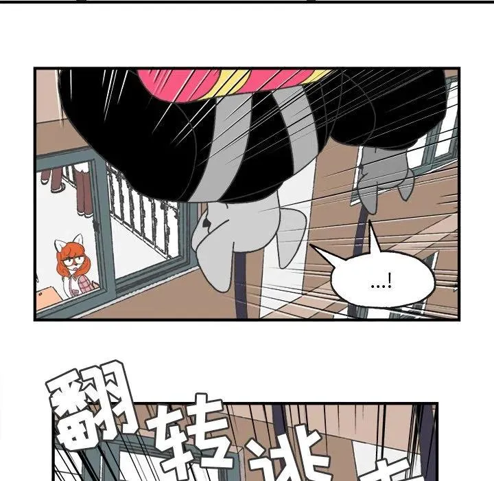 25 第14页