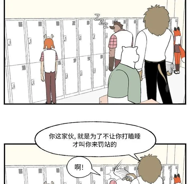 25 第24页