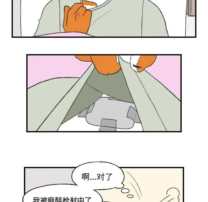 25 第29页