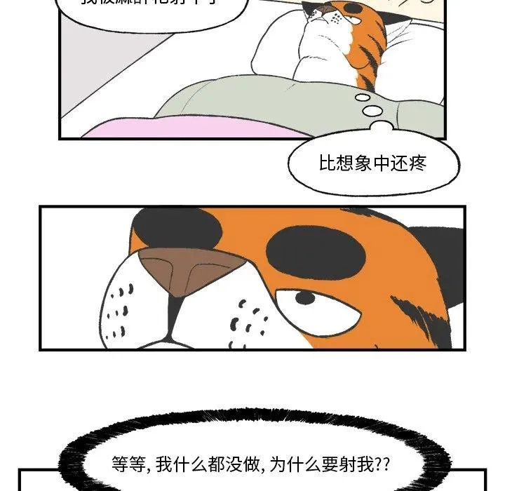 25 第30页