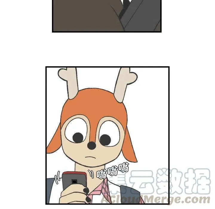 25 第49页