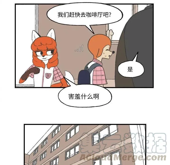 25 第61页