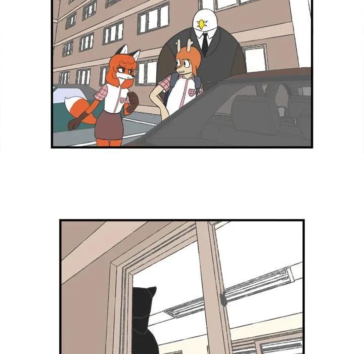 25 第62页
