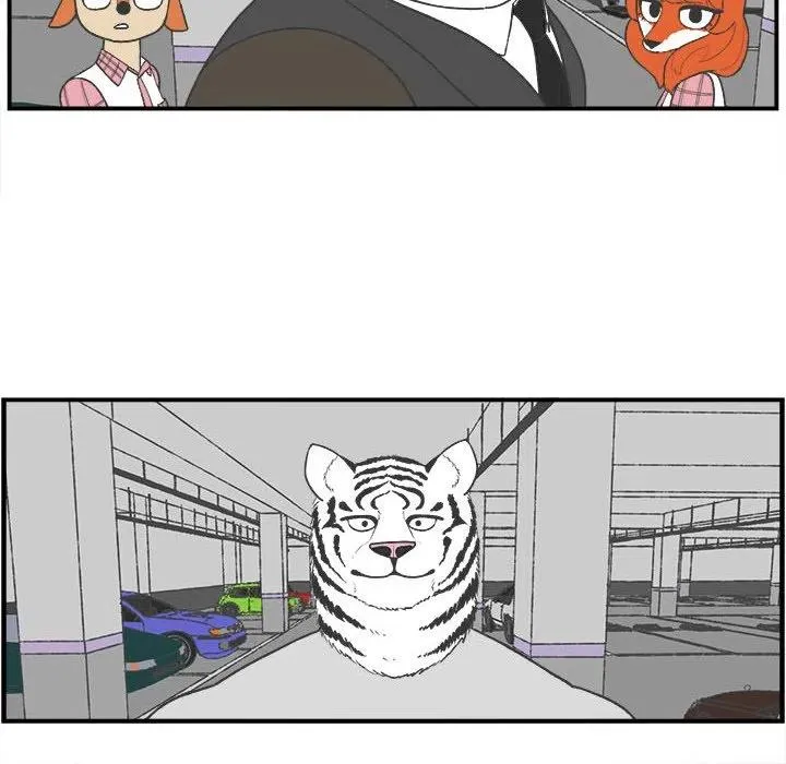 26 第8页