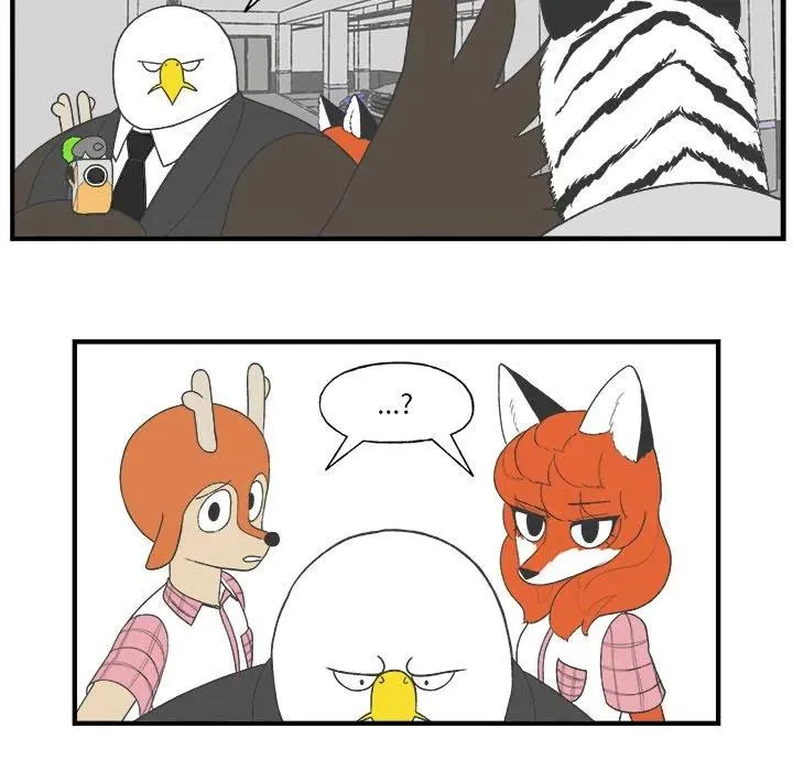 26 第11页