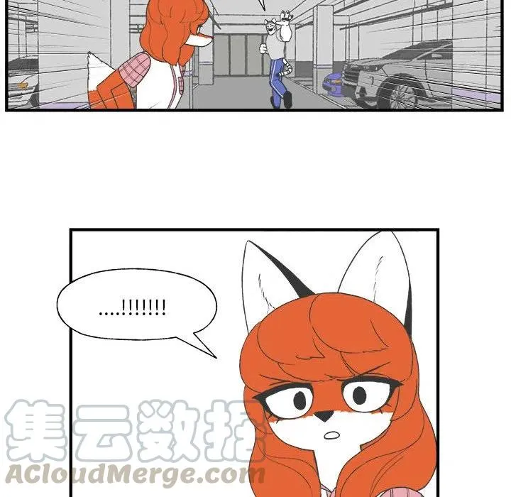 26 第25页