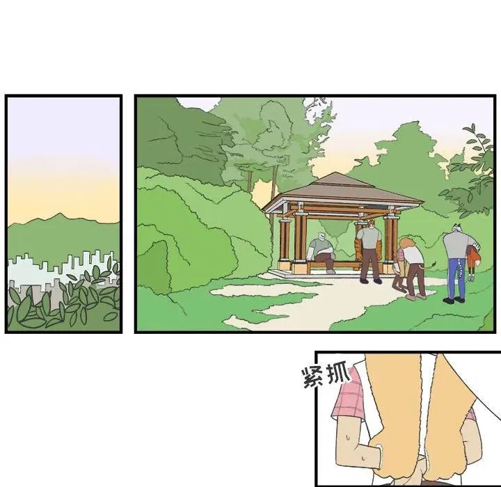 26 第41页