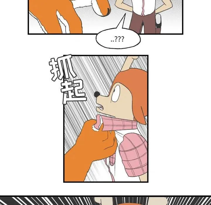 26 第48页